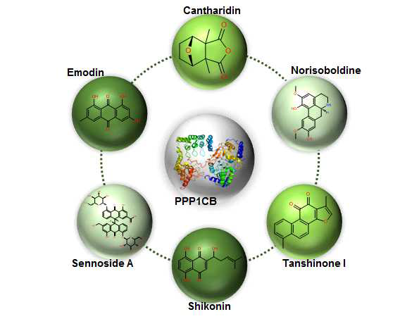 항비만 표적 단백질인 PPP1CB의 활성을 억제하는 천연물 유래 물질들