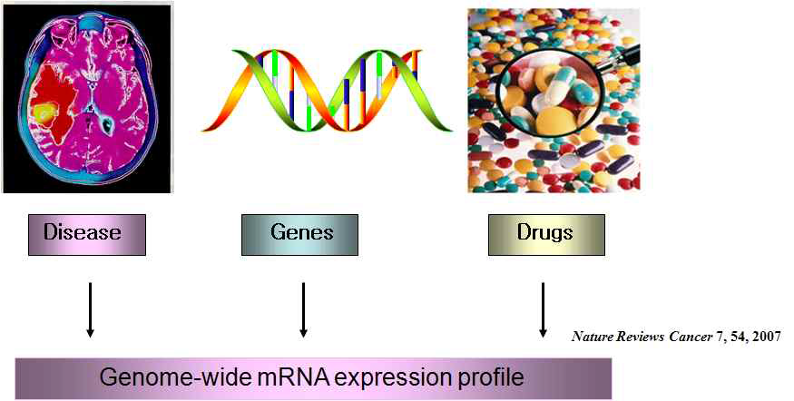 genome-wide mRNA expression profiling에 대한 모식도