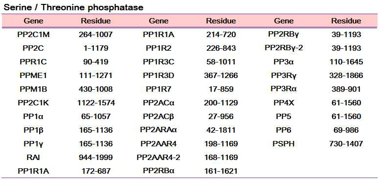발현벡터 제작에 사용된 PTP 종류 및 해당 잔기