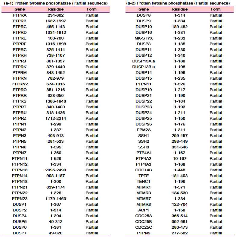 클로닝된 132종의 활성형 Protein phosphatase 목록