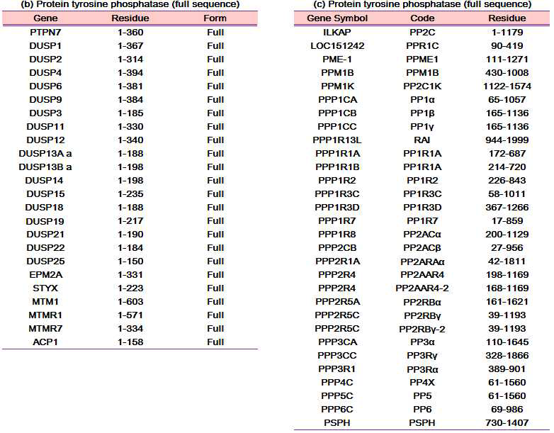 클로닝 된 132종의 활성형 Protein phosphatase 목록