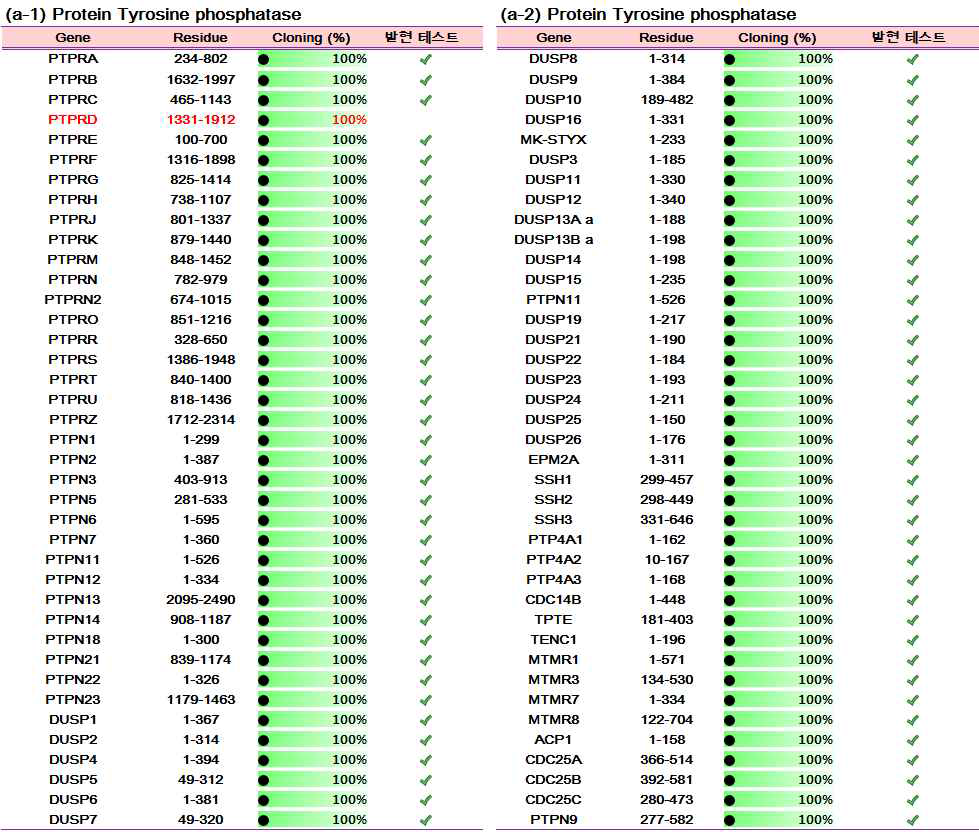 클로닝된 탈인산화효소의 발현 여부