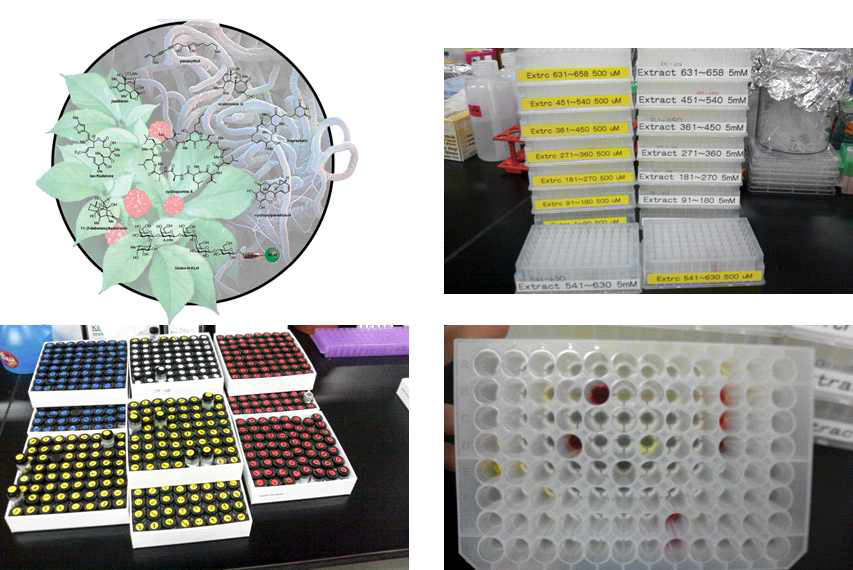 658종의 천연물 유래 화합물 라이브러리
