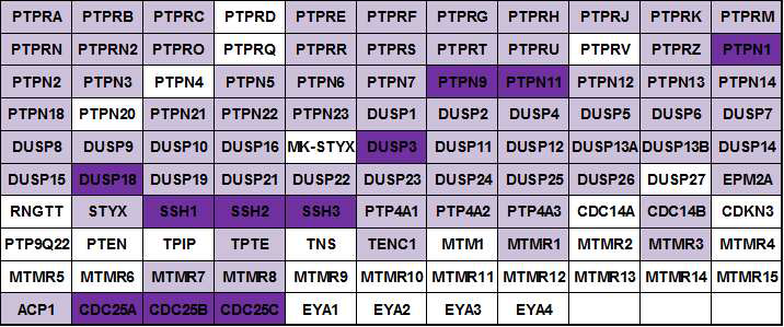 hit 화합물에 대해 추가 연구중이 tyrosine phosphatase