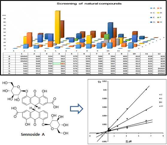 PTP1B와 Sennoside A의 저해 양상 분석