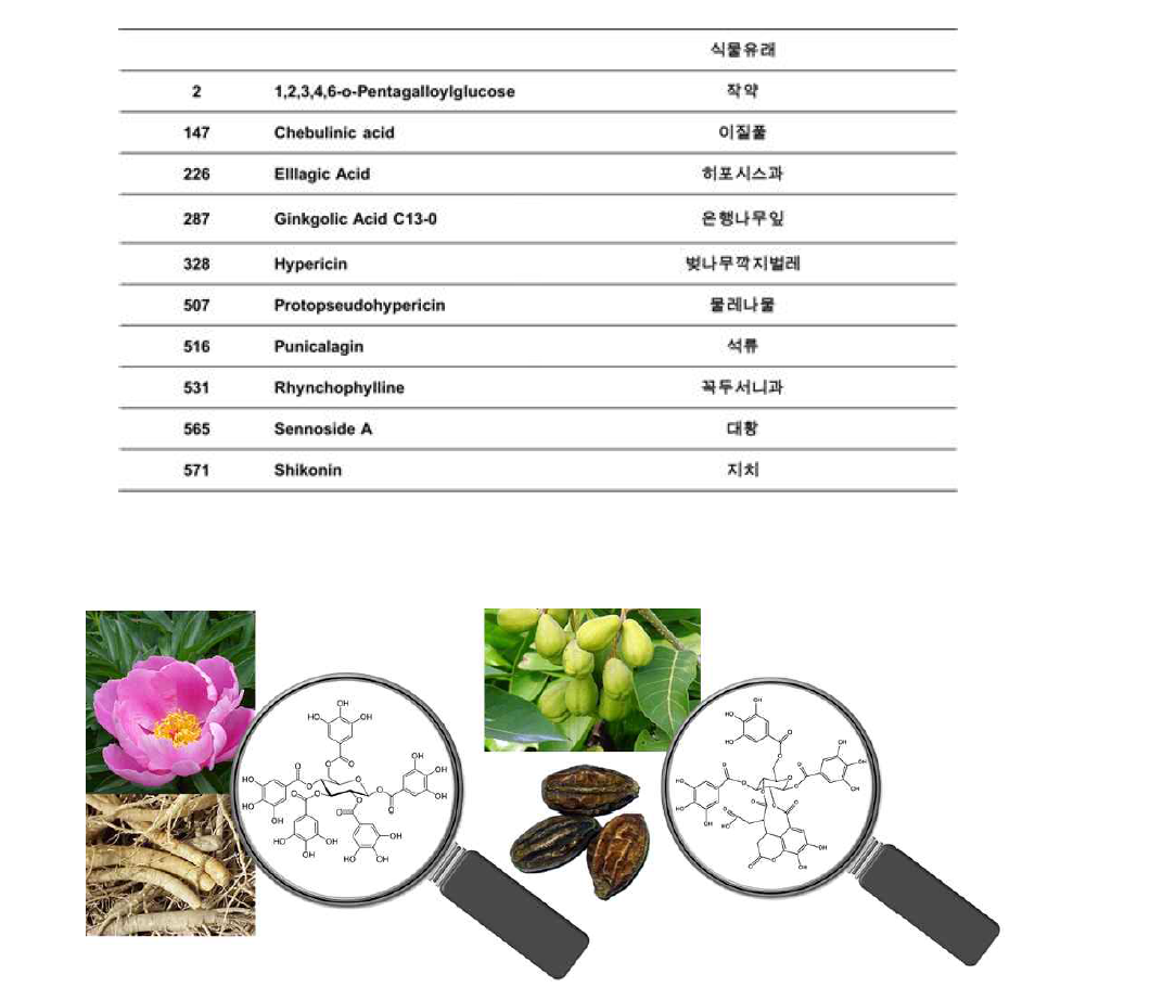 단일약물-다중표적의 예시