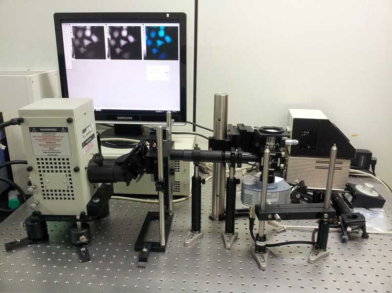 무표지이미징을 위한 Deep UV 형광생물현미경의 초기 모습