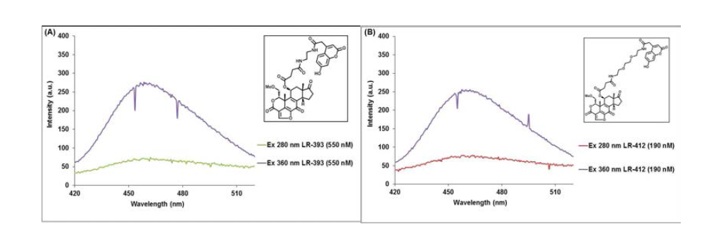 용해도를 증가시킨 PI3 Kinase 선택적 iFRET 탐침의 발광스펙트럼의 비교 (A) 에틸렌 링커가 결합된 iFRET 탐침의 형광특성, (B) 에톡시 링커가 결합된 iFRET 탐침의 형광특성
