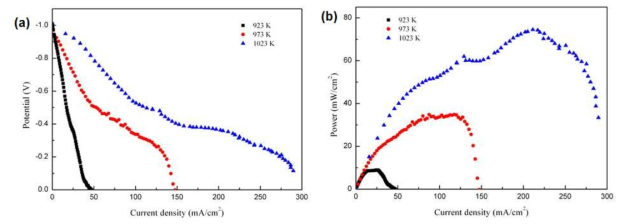 Effect of temperature on electrochemical reactions.