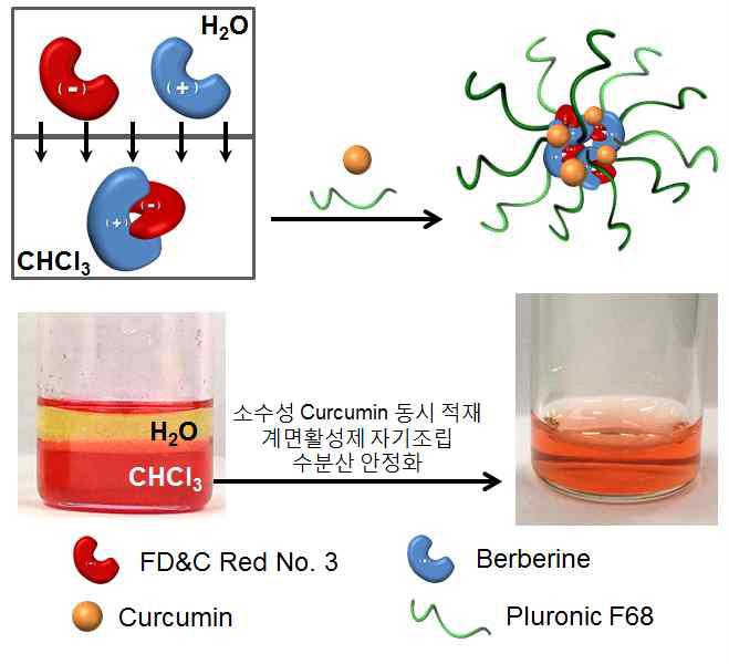 적색 식용색소 기반 나노조영제 제조 모식