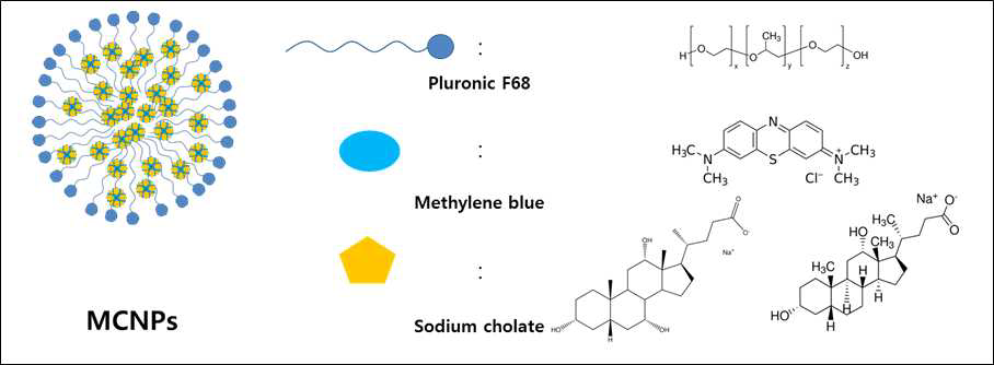 형광성 염료 메틸렌블루와 인체유래 지방산 (스테아르산) 및 고분자(Pluronic F-68)의 조합으로 형성된 나노조영제 (MSNPs)의 모식도