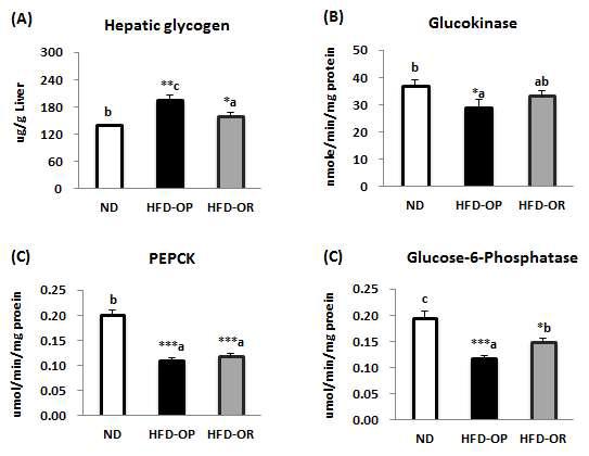 The hepatic glycogen content and glucose regulating enzymes activities of obese-prone and obese-resistant C57BL/6J mice whose phenotype was observed after feeding high-fat diet for 12 weeks