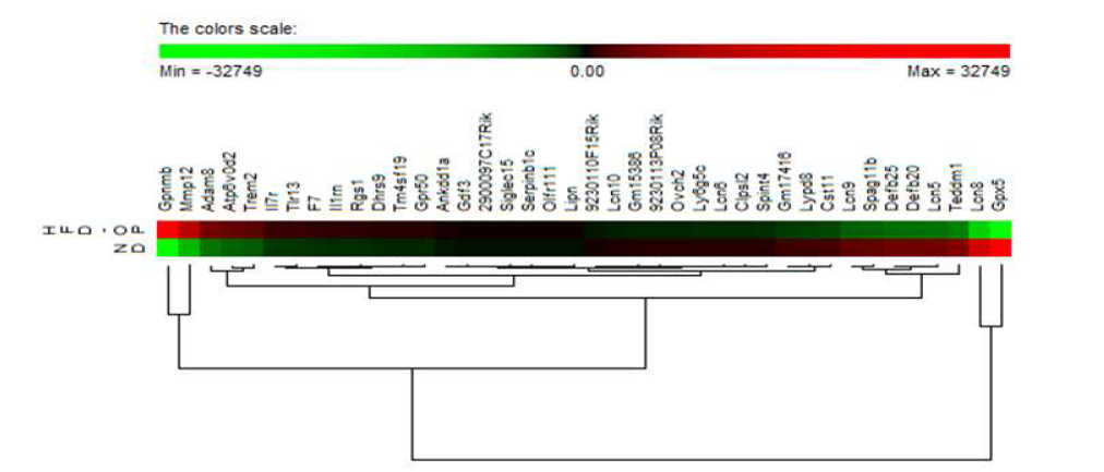 Heatmap of top 20 most up-regulated and down-regulated genes in the epididymal white adipose tissue in high fat diet-obesity prone group compared to the normal diet group