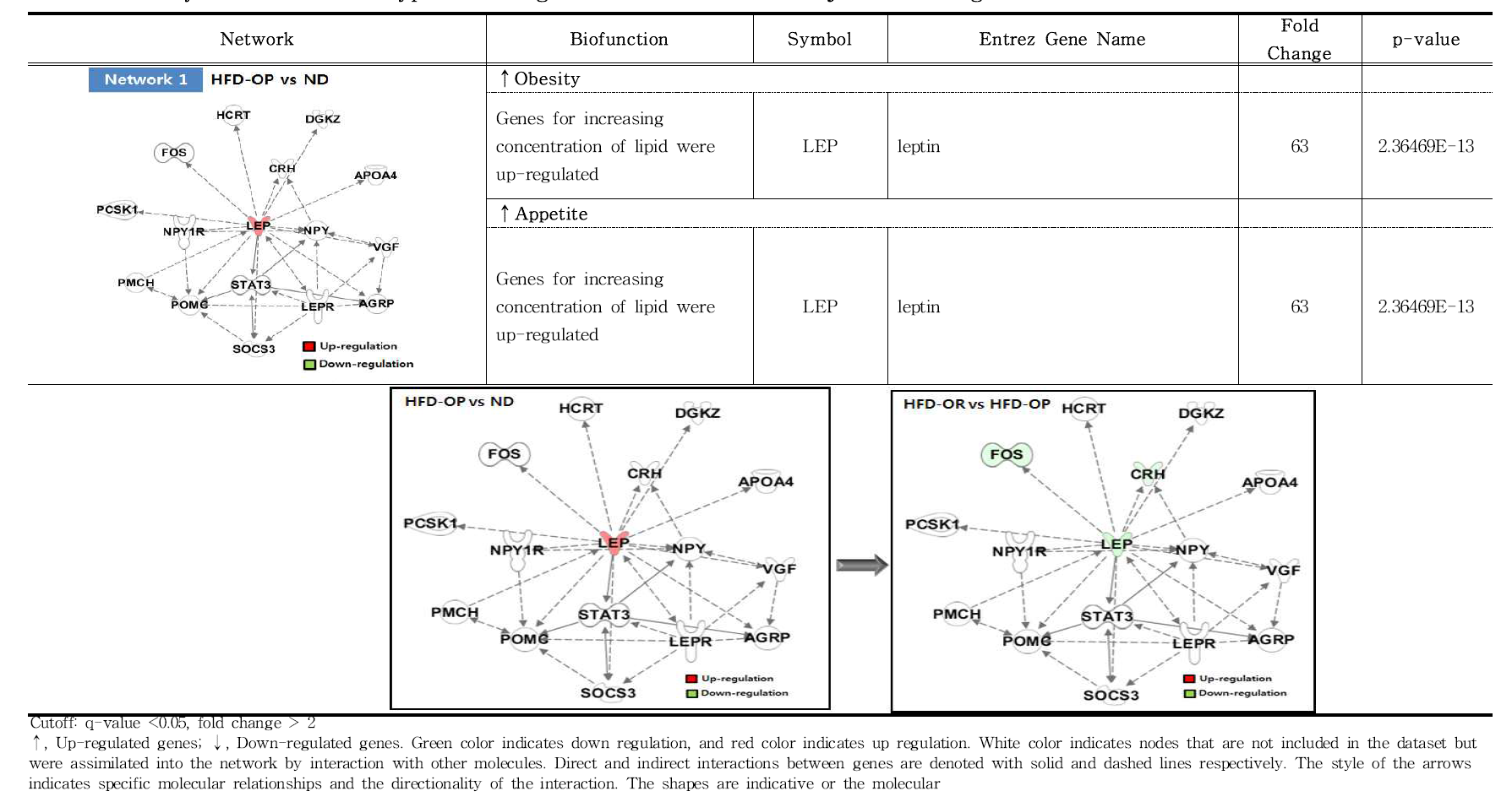 Major biofunction in hypothalamic gene network1 of C57BL/6J mice fed high-fat diet