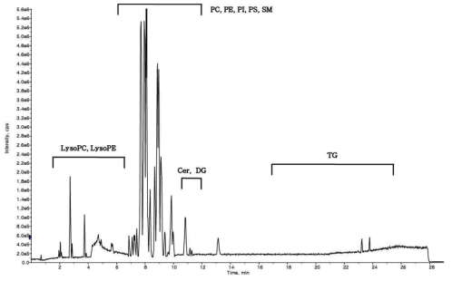 UPLC/Q-TOF spectrum of liver lipid extract - Positive mode
