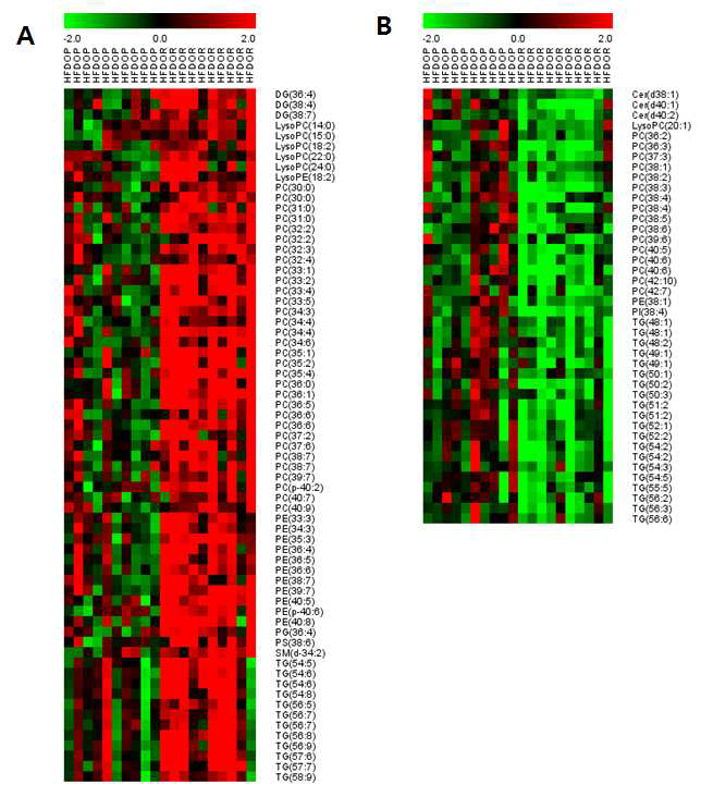 Heatmap of increased lipid metabolites(A) and decreased lipid metabolites(B) in liver