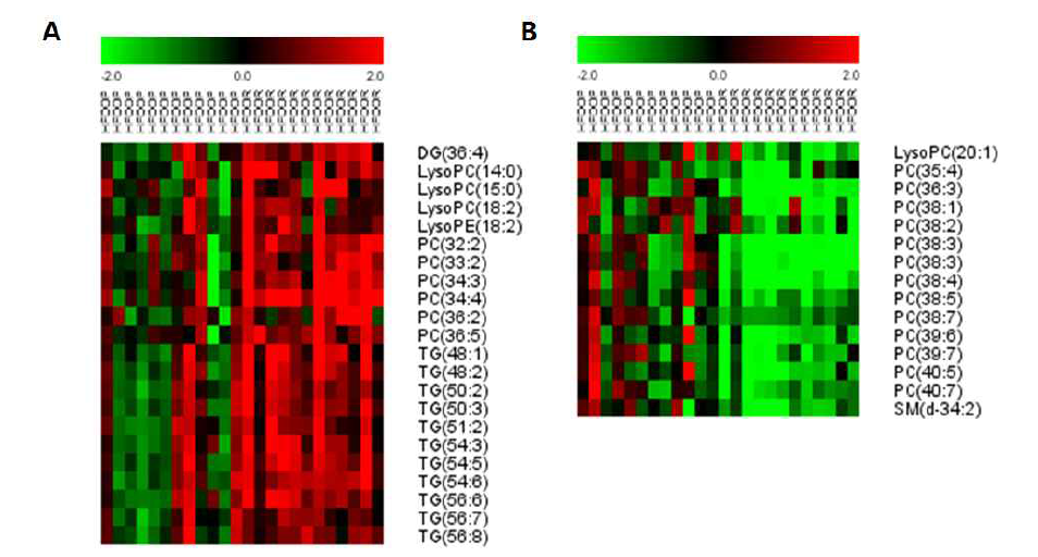 Heatmap of increased lipid metabolites(A) and decreased lipid metabolites(B) in liver