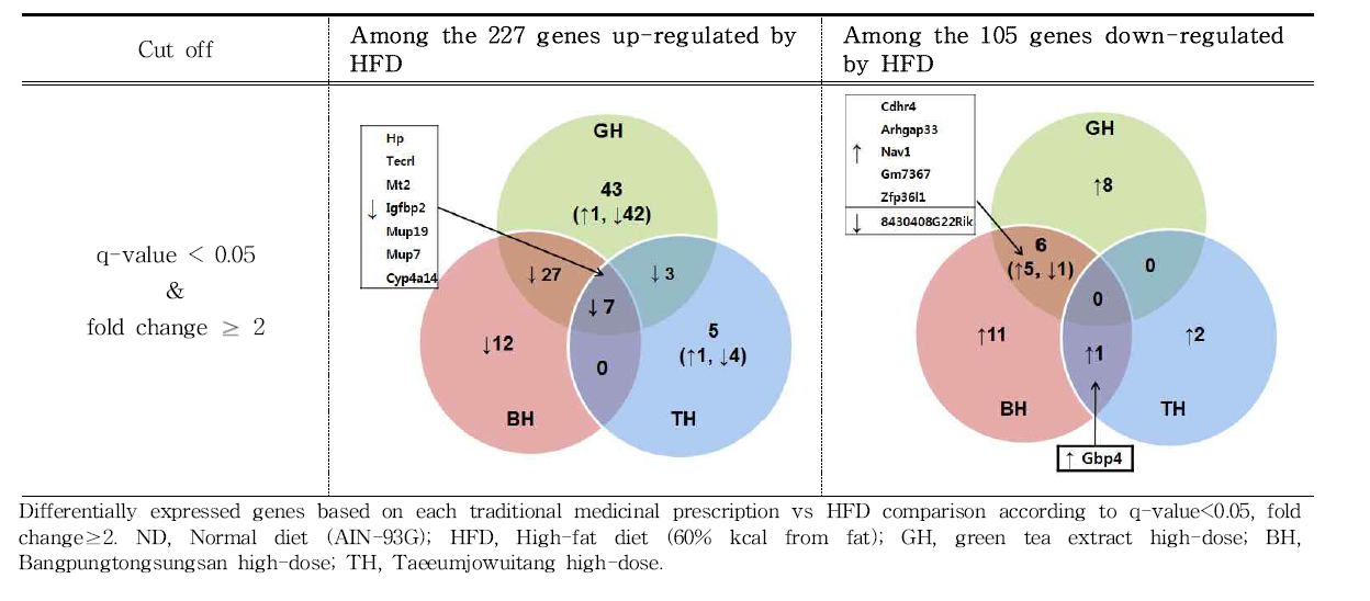 The numbers of common genes in the muscle in GH, BH and TH groups compared to the high-fat diet group