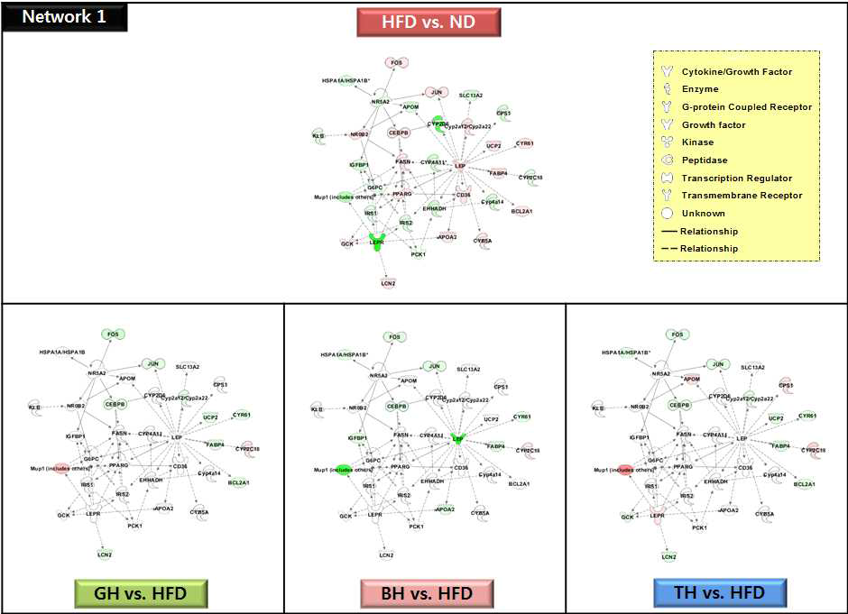 The network 1 of top-ranked IPA generated network and focus molecules of traditional medicinal prescription-responsive hepatic genes compared to the high-fat diet in C57BL/6J mice