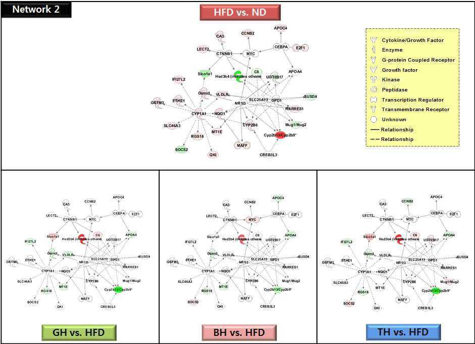 The network 2 of top-ranked IPA generated network and focus molecules of traditional medicinal prescription-responsive hepatic genes compared to the high-fat diet in C57BL/6J mice.