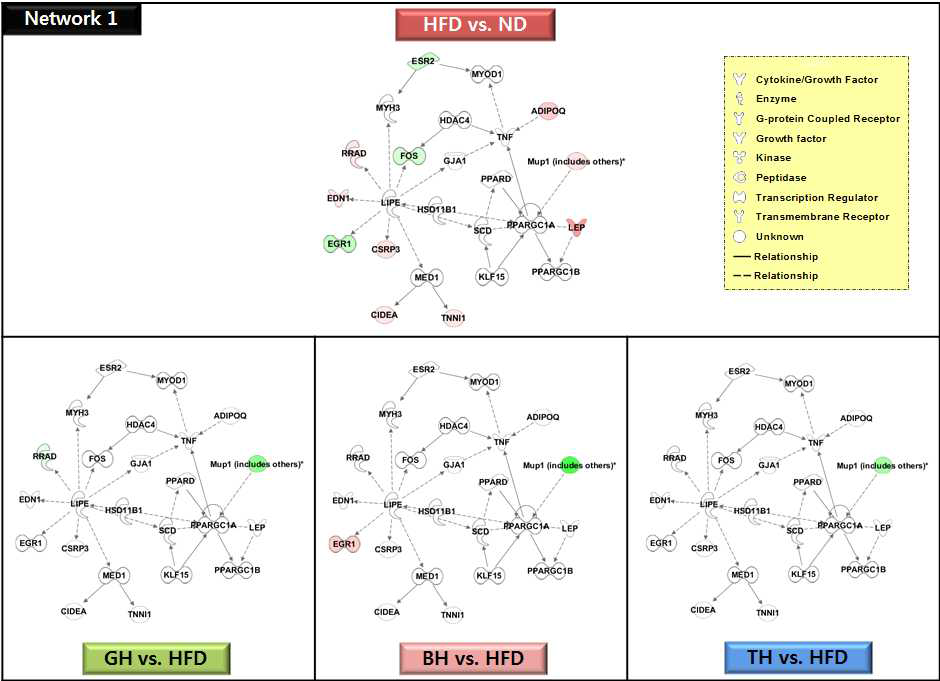 The network 1 of top-ranked IPA generated network and focus molecules of traditional medicinal prescription responding muscular genes compared to the high-fat diet in C57BL/6J mice.
