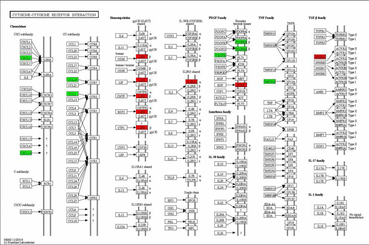 Effect of green tea extract on transcriptional pattern related with cytokine-cytokine receptor interaction in C57BL/6J mice fed high fat diet.