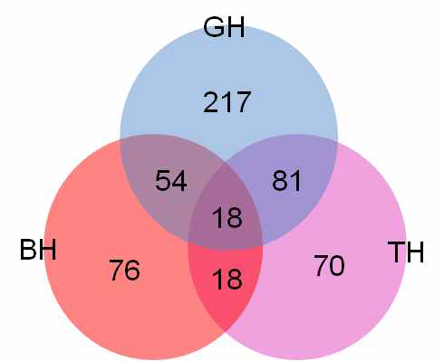 Venn diagram of significant difference of hepatic lipid metabolites in GH, BH and TH groups compared to the high-fat diet group