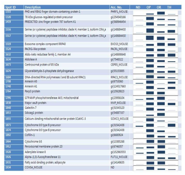 Regulation patterns of the identified 29 proteins in WAT