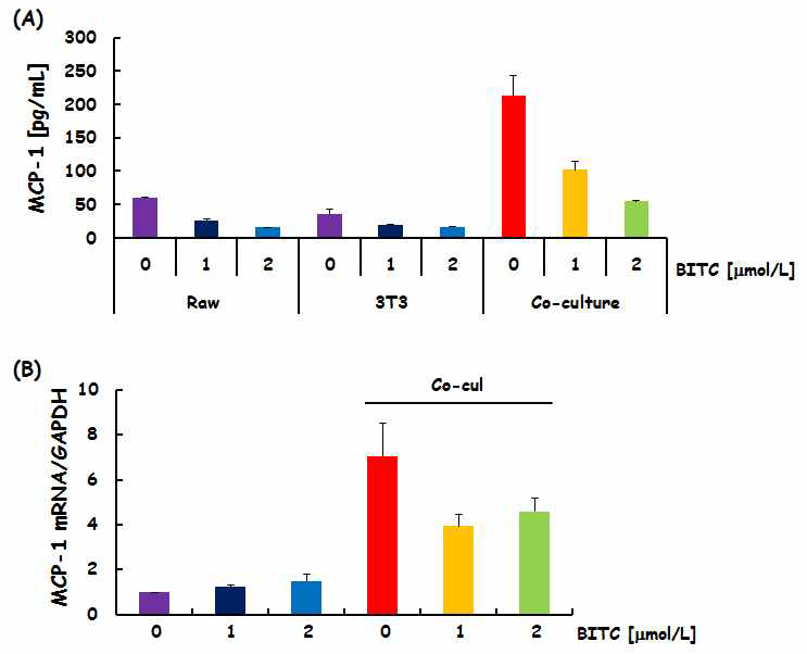 Effects of BITC on MCP-1 production in RAW264.7/3T3-L1 co-cultures.