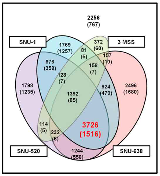 MSI-H와 MSS 사이의 전사체에서 MS 돌연변이의 분포