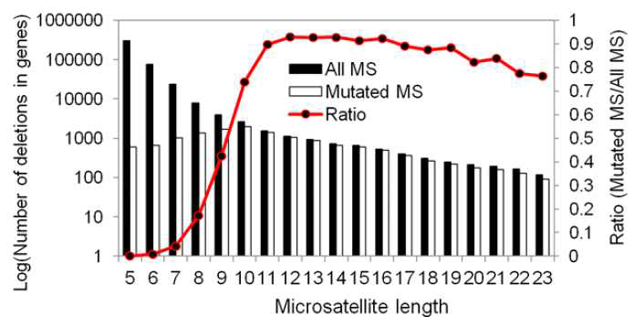 단일 뉴클레오티드를 포함하는 유전자에서 전체 MS와 돌연변이된 MS 사이의 비교 분석