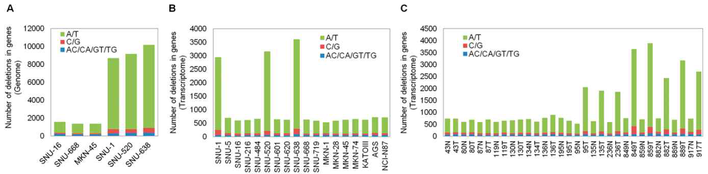 위암 세포주와 위암 환자에서 WGS (A)와 RNA sequencing (B, C) 분석을 통한 결손 유전자 개수