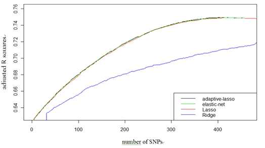 사용한 SNP 개수에 따른 각 벌점형 회귀분석의 adjusted R squares 값의 변화
