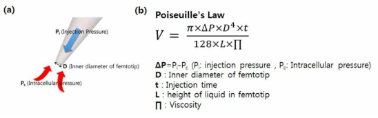 (a) Nanoinjection 수행 시 형성되는 세포와 팁 간의 환경을 나타낸 모식도. (b)주입 물질 총량을 계산하기 위한 Poiseuille’s Law