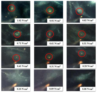 Nanoinjection 시스템을 이용하여 단일 Huntington’s disease fibroblast (HDF) cell 에 압력을 조절해가며 50nm 금 나노입자를 주입하여 세포 내압을 측정.