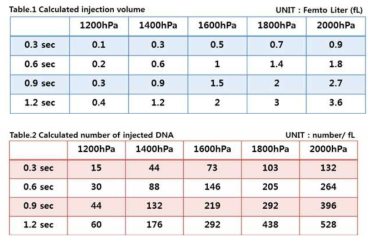 Nanoinjector의 주입 압력과 주입 시간 조절에 따른 계산된 유전자 주입총량 부피 (Table 1)과 주입 유전자 농 도와 계산된 부피에 따라 결정된 각 조건별 주입 유전자 개수 (Table 2)DNA concentration