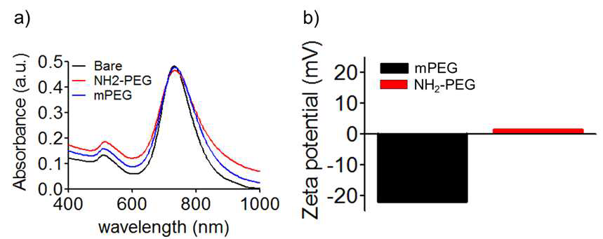 mPEG와 NH2-PEG로 표면이 변형된 금 나노막대의 특성 분석.