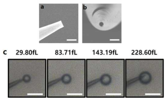 실험에 사용된 Femtotip의 전자 현미경 이미지(a,b)와 Nanoinjector의 압력과 시간 변수를 달리하여 실 험적으로 측정한 유전자 전달량