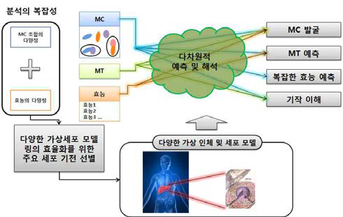 전통 천연물 기반 MC/MT 시뮬레이션 연구의 목표.