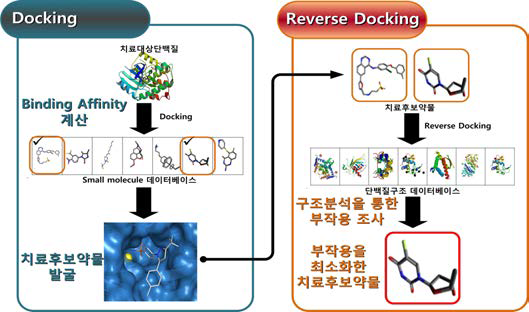 Reverse Docking을 이용한 천연물의 질병관련 타깃 발굴 시뮬레이션 기술.