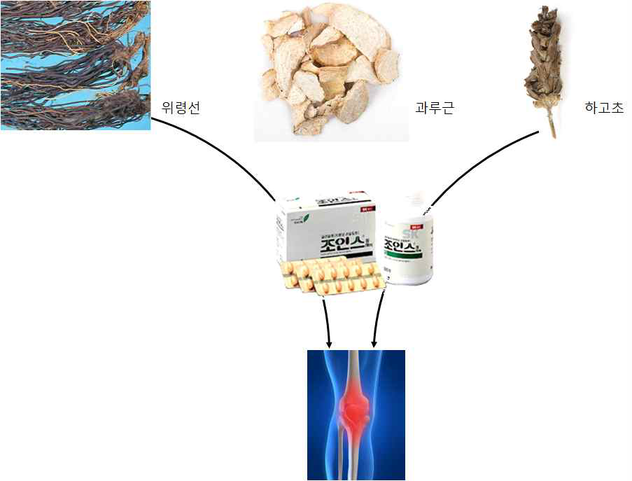 조인스, 천연물로부터 상업용 약품을 개발한 대표적인 국내 사례