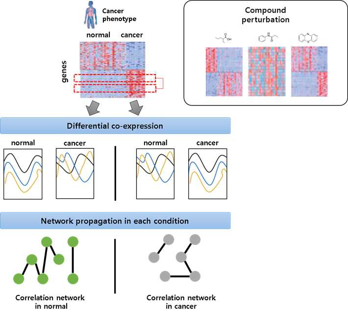 유전자 발현 데이터 기반 조건별 연관 네트워크 발굴 방법