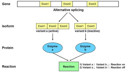 Splice variant를 활용한 omics data integration의 모식도.