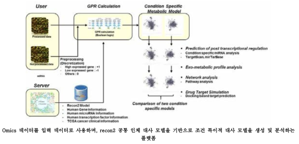 대사 시뮬레이션 플랫폼 모식도.