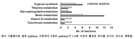 CD133+ 세포와 CD133- 세포의 대사 시뮬레이션 결과.