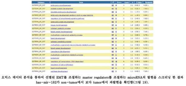 PRRX1 발현 패턴이 유사한 유전자들의 biological process 분석