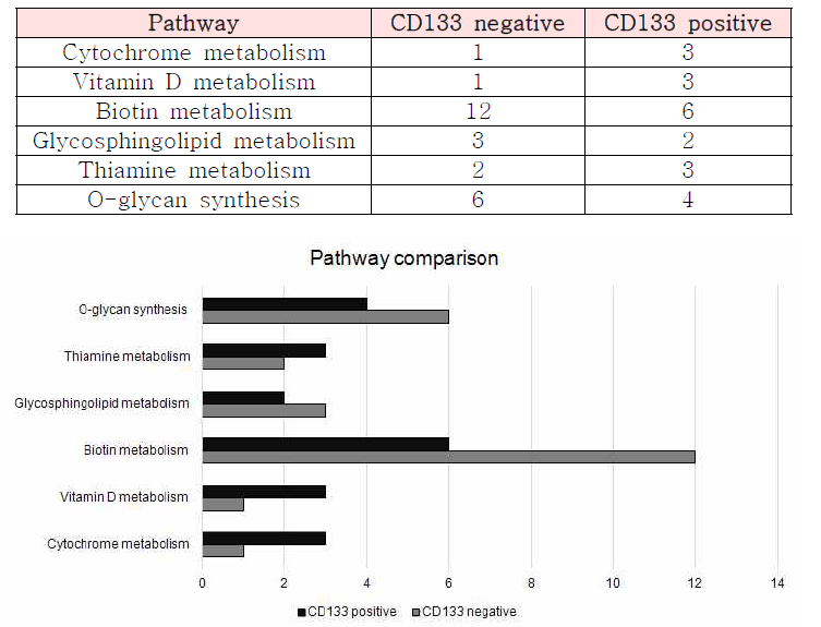 CD133+세포와 CD133-의 가상 간세포에서 대사 pathway 발현 패턴