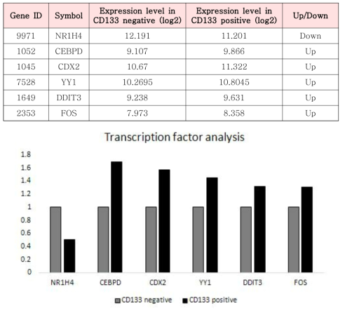 CD133+세포와 CD133-세포에서 차별 발현하는 transcription factor 예측