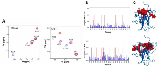 p53 DBD 과 Bcl-w, McL-1 단백질 간 결합 측정을 위한 SAR-by-NMR 실험