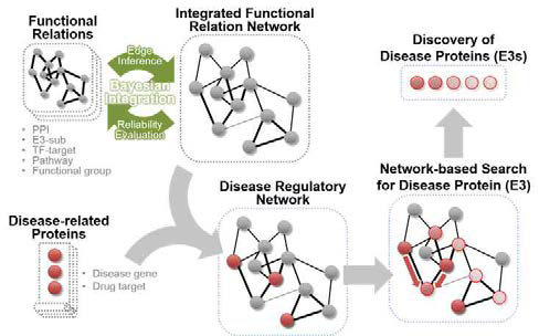 E3 연관 질병 네트워크 구축 및 질병 연관 E3 탐색 방법